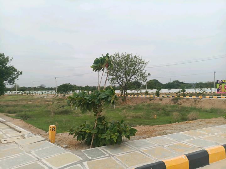 IDA Main Image 1