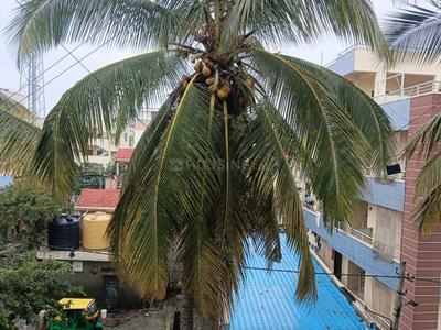 Image of 900 Sq.ft 2 BHK Apartment / Flat for sale in Adithya Residency, JP Nagar, Bengaluru for Rs. 5500000