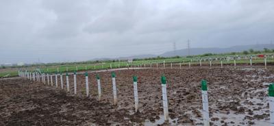 Image of 1089 Sq.ft Residential Plot / Land for sale in jui, Navi Mumbai for Rs. 600000