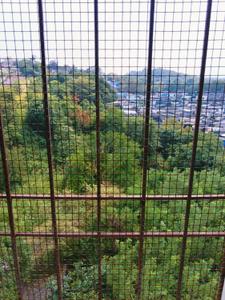 Balcony Image of 560 Sq.ft 1 BHK Apartment / Flat for sale in Royal Palms Summit Apartments, Goregaon East Mumbai for Rs. 6500000
