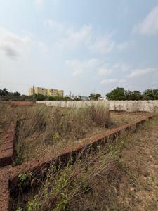 Pitapalli Plot View 2