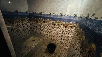 Bathroom Image of 900 Sq.ft 2 BHK Independent House for sale in B. Thandrapadu Kurnool for Rs. 6500000