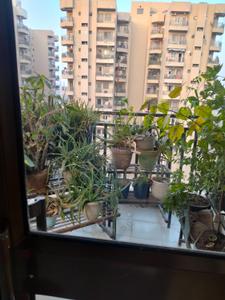 Balcony Image of 2350 Sq.ft 3 BHK Apartment / Flat for sale in Ardee Palm Grove Heights, Sector 52 Gurgaon for Rs. 38400000