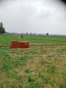 Image of 1500 Sq.ft Residential Plot / Land for sale in Gosainganj, Lucknow for Rs. 2685000