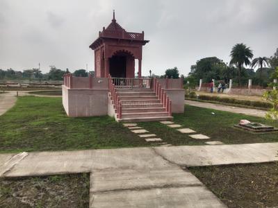 Plot View