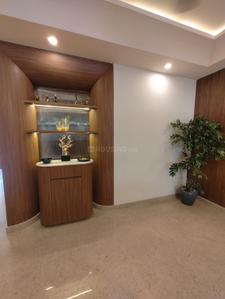 Hall Image of 2700 Sq.ft 4 BHK Builder Floor for sale in Sector 56 Gurgaon for Rs. 32500000