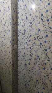 Bathroom Image of 350 Sq.ft 1 BHK Apartment / Flat for sale in Vasundhara Kutumb, Tonk Road Jaipur for Rs. 900000