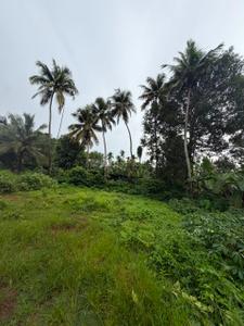 Image of 3920 Sq.ft Residential Plot / Land for sale in Kaiparambu, Thrissur for Rs. 390000