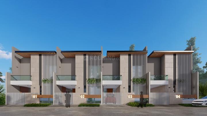 Exotica Woods Main Image 1