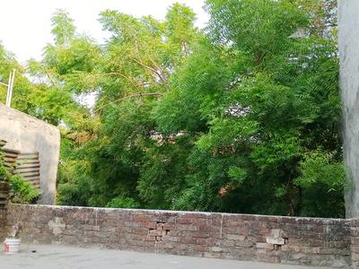 Balcony Image of 200 Sq.ft 1.5 BHK Independent House for rent in Jankipuram Lucknow for Rs. 2500
