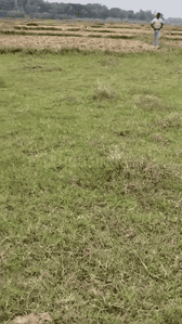 Image of 435 Sq.ft Residential Plot / Land for sale in Namkum, Ranchi for Rs. 850000