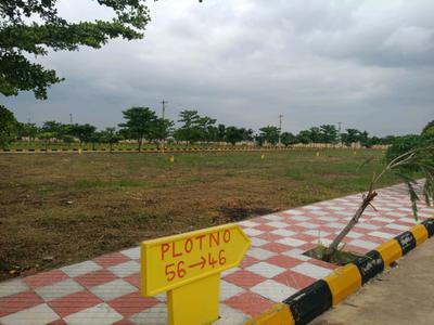 Hampton Palms Plot View 2