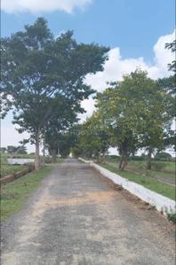 Image of 1200 Sq.ft Residential Plot / Land for sale in Palavanapalli, Hosur for Rs. 1700000