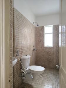 Common Bathroom Image of 1600 Sq.ft 3 BHK Apartment / Flat for sale in Paras Tierea, Sector 137 Noida for Rs. 11800000