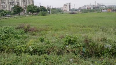 Sector 12 Plot View 2