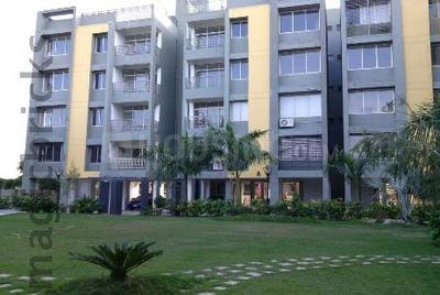 Image of 1170 Sq.ft 2 BHK Penthouse for sale in Dharmadev Neelkanth Orchid, Shilaj, Ahmedabad for Rs. 7300000
