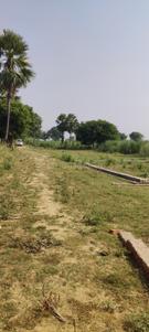 Image of 900 Sq.ft Residential Plot / Land for sale in Jhalwa, Allahabad for Rs. 1600000