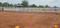 Glorious town Plot View 2