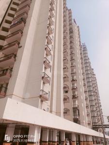 Image of 585 Sq.ft 1 BHK Apartment / Flat for sale in Amrapali Dream Valley 2, Noida Extension, Greater Noida for Rs. 4700000