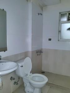Common Bathroom Image of 690 Sq.ft 1 BHK Apartment / Flat for rent in Hiranandani Fedora, Hiranandani Estate Thane for Rs. 40000