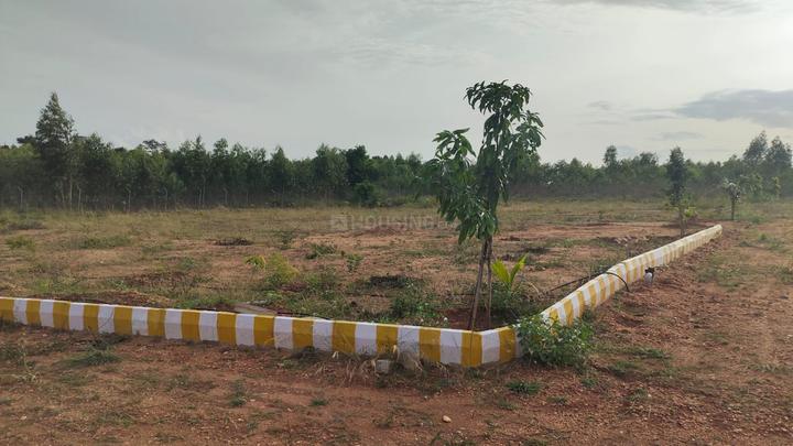 Denkanikottai Main Image 1