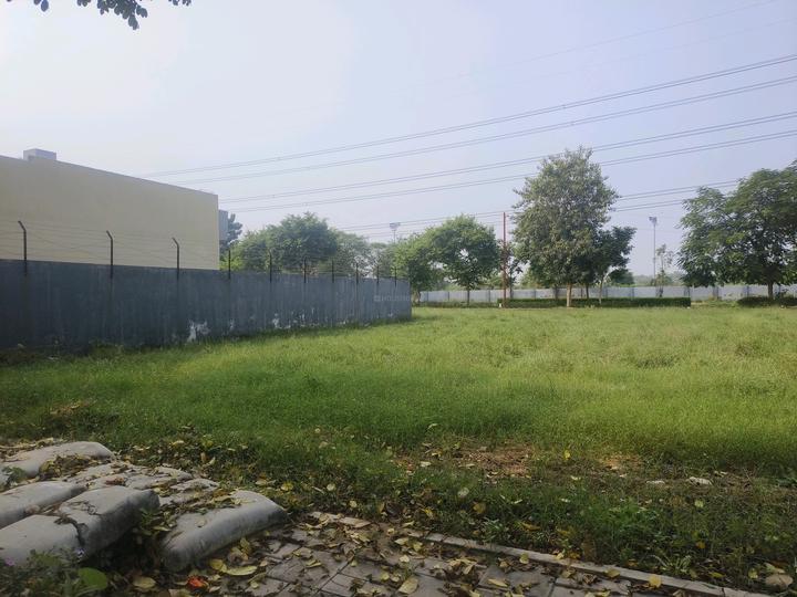 Roots Courtyard 2 Main Image 1