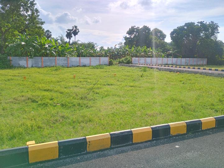 Susheela Avenue Main Image 1