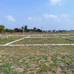 Bihta Plot View 2