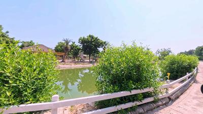 Image of 1831 Sq.ft Residential Plot / Land for sale in Kundal, Mehsana for Rs. 12500000