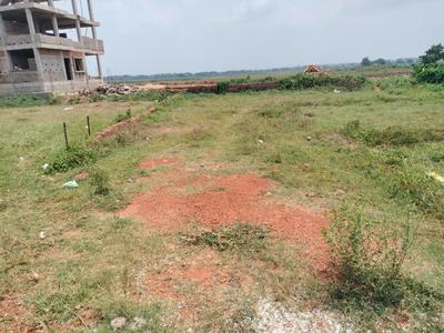 Botanda Plot View 3
