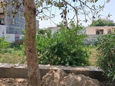 Sector 151 Plot View 1