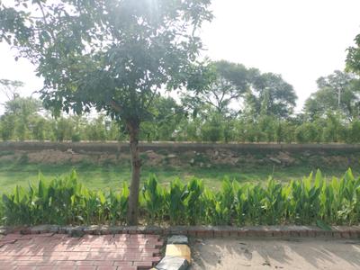 Image of 165 Sq.ft Residential Plot / Land for sale in Omaxe City, Tajupur, Faridabad for Rs. 23100000