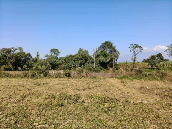 Hinduwala Main Image 1