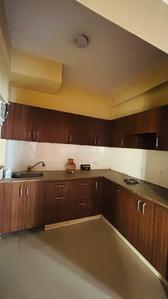 Kitchen Image of 1155 Sq.ft 3 BHK Apartment / Flat for rent in Paramount Emotions, Noida Extension Greater Noida for Rs. 22000