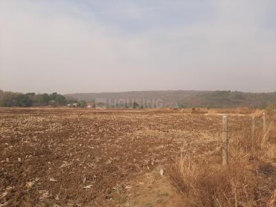 Vindhane Plot View 3