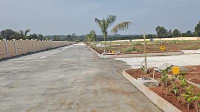 Residential Plot