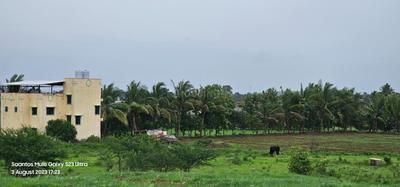 Image of 4446 Sq.ft Residential Plot / Land for sale in Shinde, Nashik for Rs. 4693000