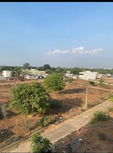 LR Green homes  Plot View 1