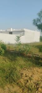 Image of 450 Sq.ft Residential Plot / Land for sale in Sector 22B, Greater Noida for Rs. 13000000