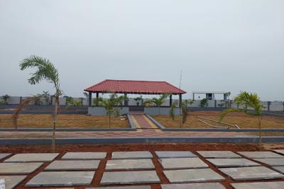 Image of 1485 Sq.ft Residential Plot / Land for sale in Pamarru, Krishna for Rs. 1650000