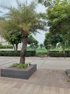 Image of 990 Sq.ft Residential Plot / Land for sale in New Chandigarh, Chandigarh for Rs. 15500000