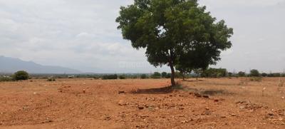 Image of 1750 Sq.ft Residential Plot / Land for sale in Jadayampalayam, Coimbatore for Rs. 1600000