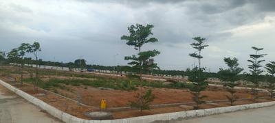 Residential Plot