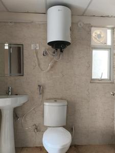 Common Bathroom Image of 885 Sq.ft 2 BHK Apartment / Flat for rent in Terrace Homes, Noida Extension Greater Noida for Rs. 18000