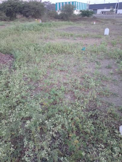 Bhakti Amber  Main Image 1