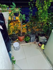 Balcony Image of 575 Sq.ft 1 BHK Apartment / Flat for rent in Thane West Thane for Rs. 35000