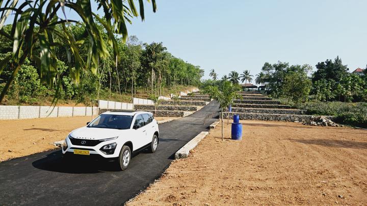 Chottanikkara Main Image 1