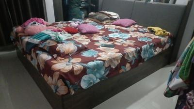 Bedroom Image of 860 Sq.ft 2 BHK Apartment / Flat for sale in Darshan Parklane Premier, Wagholi Pune for Rs. 5800000
