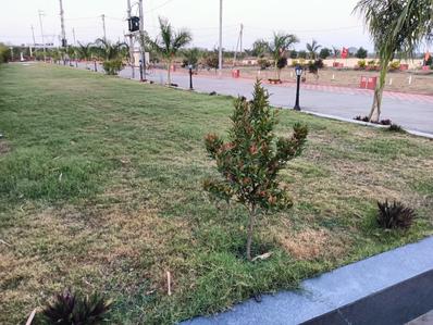 Image of 800 Sq.ft Residential Plot / Land for sale in RajLaxmi Estate, Rau, Indore for Rs. 2600000