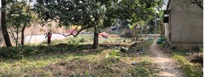 Image of 8069 Sq.ft Residential Plot / Land for sale in Basirhat, North 24 Parganas District for Rs. 9900000